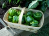 06-27-14_Bell_Pepper_Basket_01