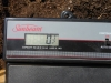 06-27-14_Picking_Potatoes_07