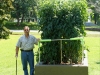 07-11-14_Me_And_BetterBoy_Tomato_Plants03
