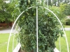 08-01-2014_Tomato_Plants_New_Garden_02