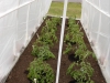 Gardens28