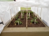 Gardens29