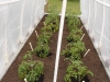 Gardens30