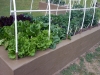 05-05-2015 Garden No 2 01.jpg