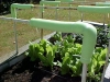 fall-garden-03