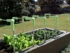 fall-garden-04