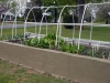 04-14-2016 Garden No - 01