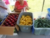 06-02-2017 Community Harvest Share 02