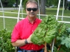 06-11-2017 Giant Swiss Chard 03