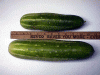 cucumber-comparison01