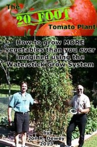 The_20_FOOT_Tomato_Plant_Large